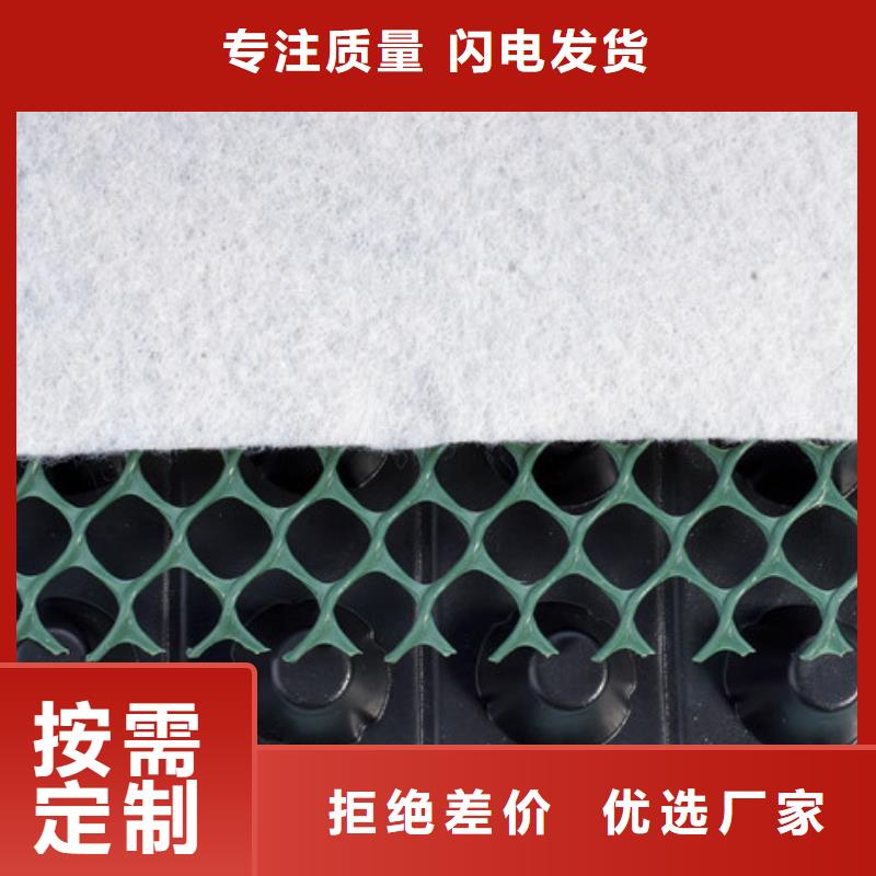 生产型<朋联>塑料排水板厂家-山东朋联工程