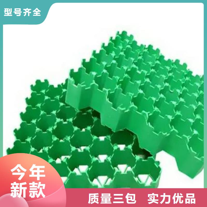 塑料植草厂家-批发价