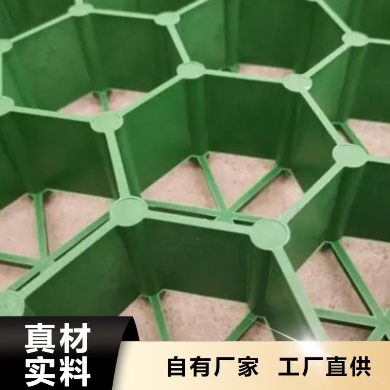 植草格【化粪池水泥】细节决定品质