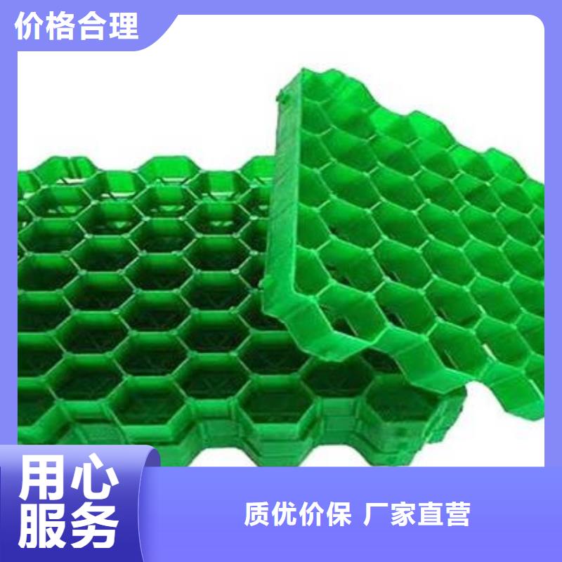 塑料植草格型号全-新品发售