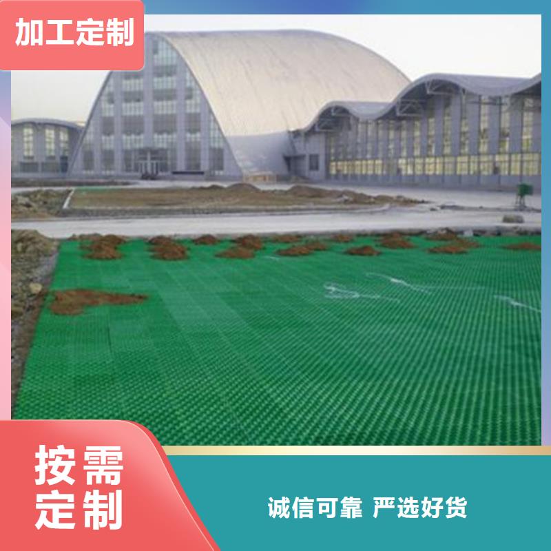 塑料植草格2024新行情价