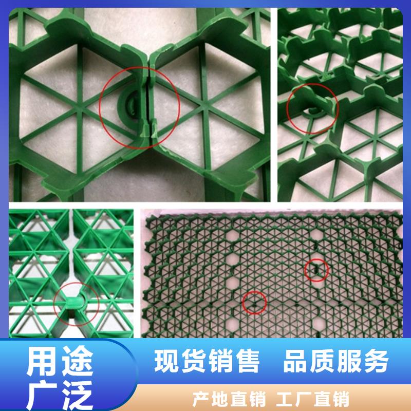 塑料植草格本地公司