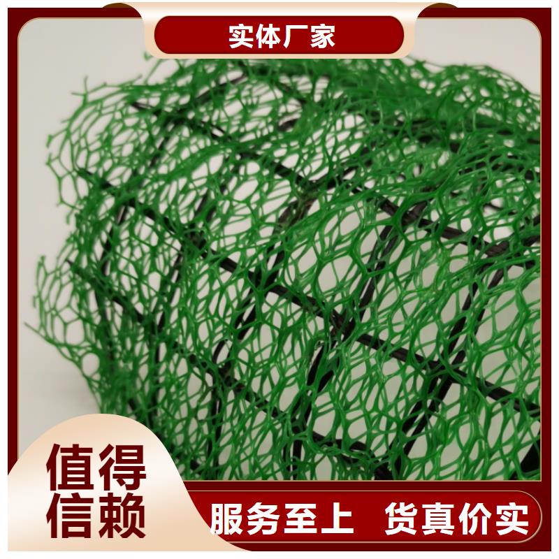 【三维植被网防护虹吸排水收集系统的简单介绍】