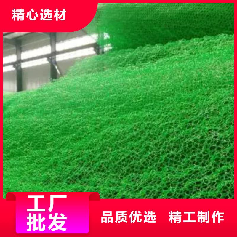 三维植被网【排水板】现货