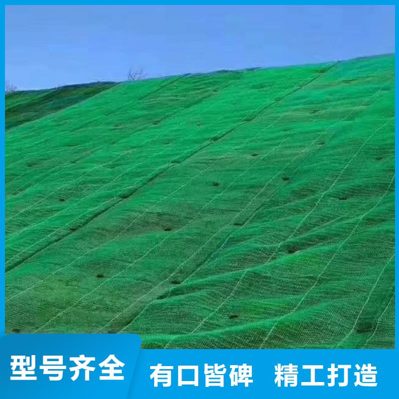 三维植被网价格