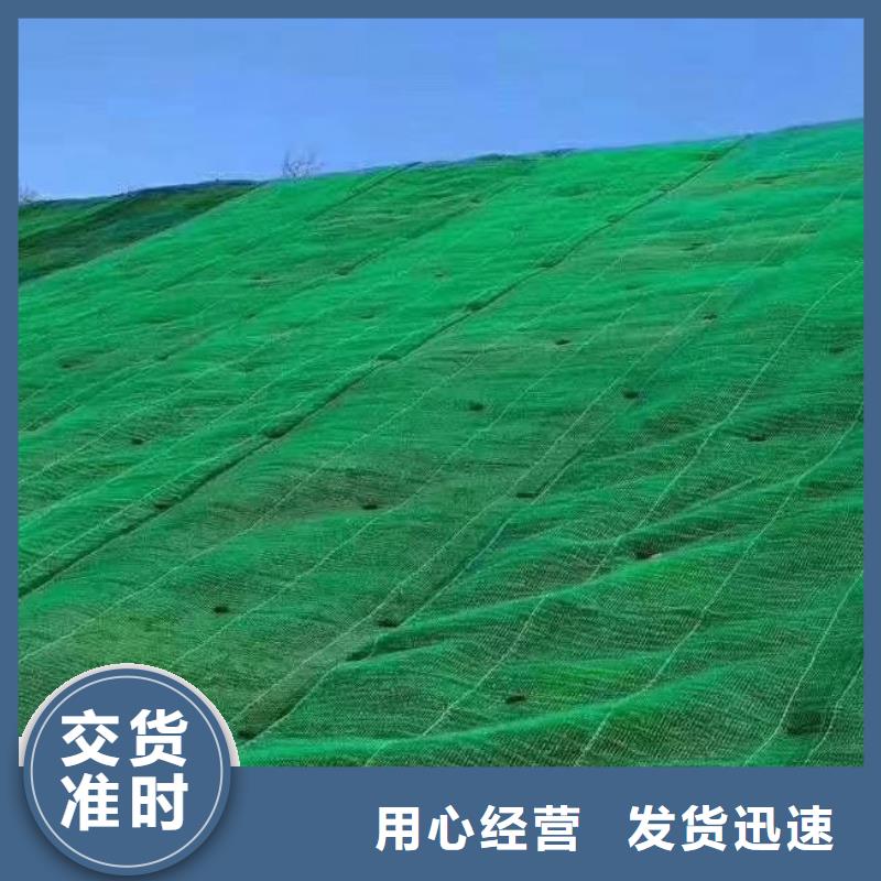 三维植被网价格