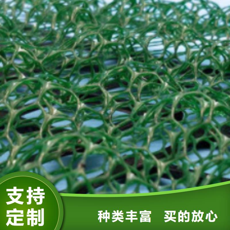 三维植被网【化粪池水泥】定金锁价