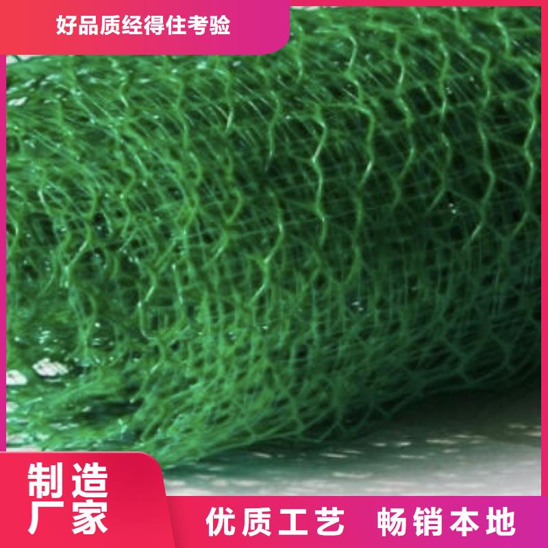 三维植被网排水板的简单介绍