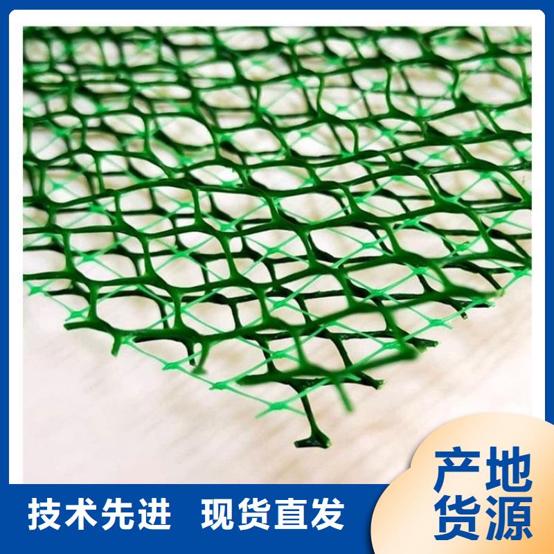 三维植被网排水板的简单介绍