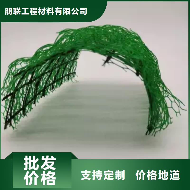 三维土工网垫-三维植被网厂家