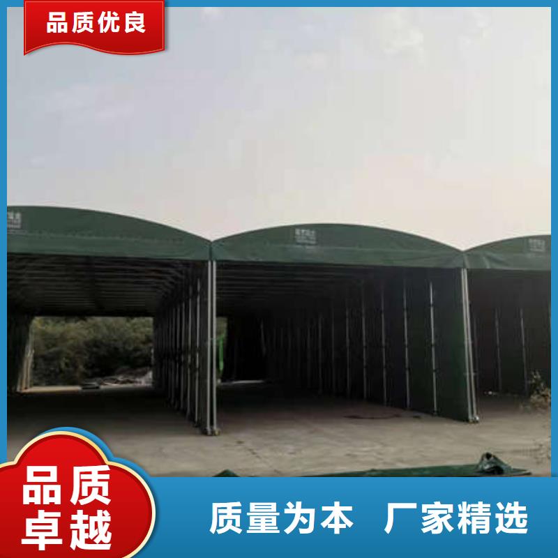 广州定做电动雨棚 品质放心