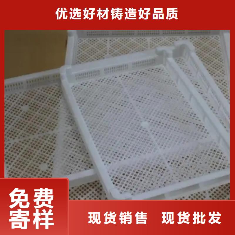 贵阳生产销售塑料垫板图片与价格_诚信企业