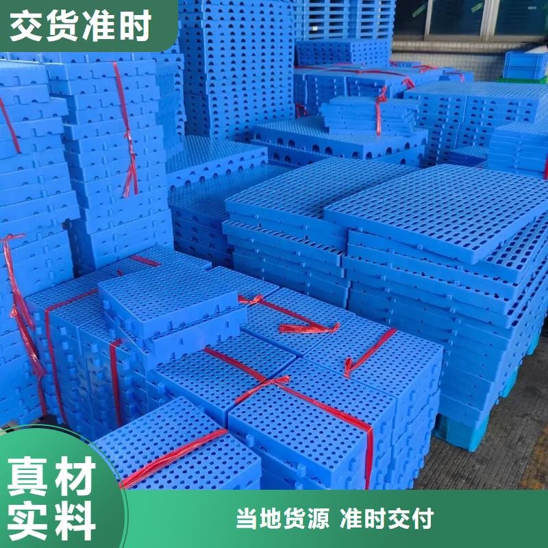 天津购买塑料垫板图片与价格厂家现货