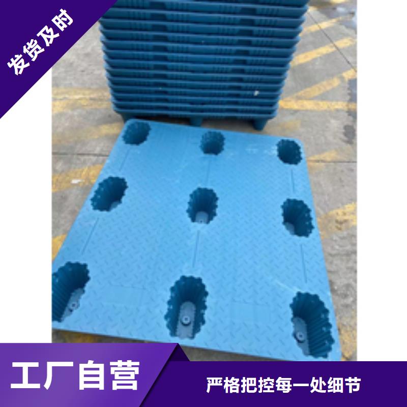 临沧购买生产塑料垫板图片与价格的基地