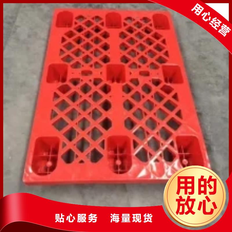 临沧购买生产塑料垫板图片与价格的基地