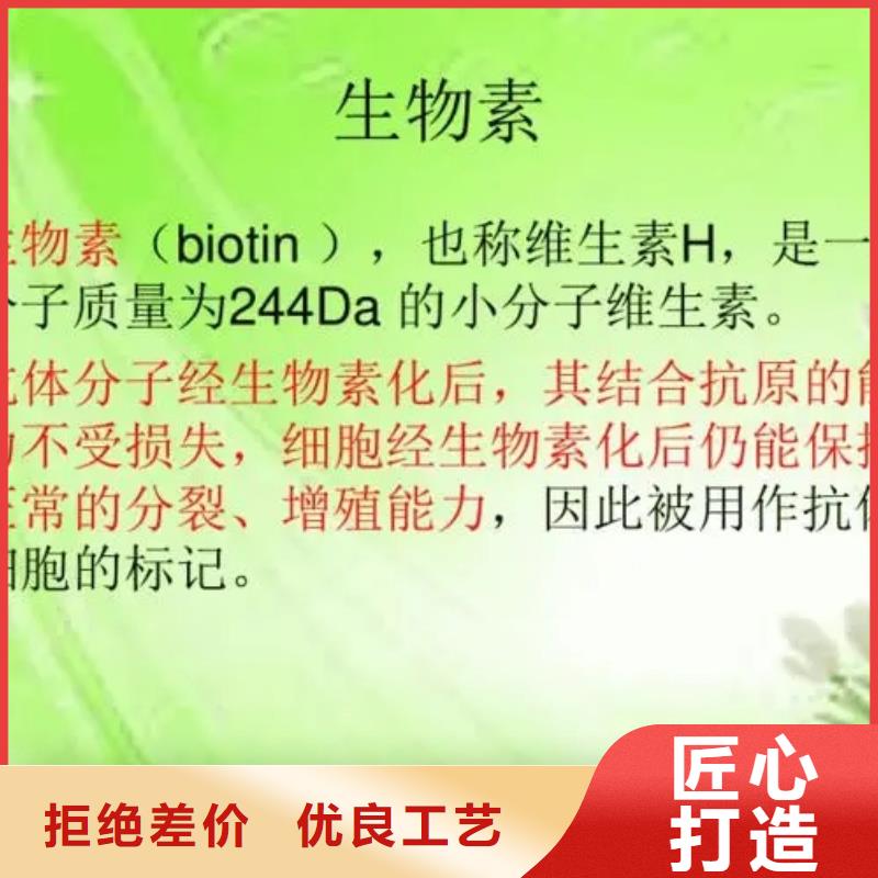 维成素B7厂家