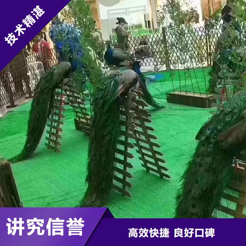 萌宠展出租联系方式