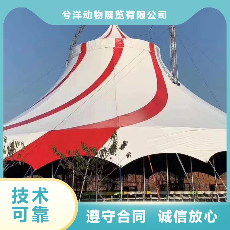 马戏团/羊驼海狮表演出租随叫随到