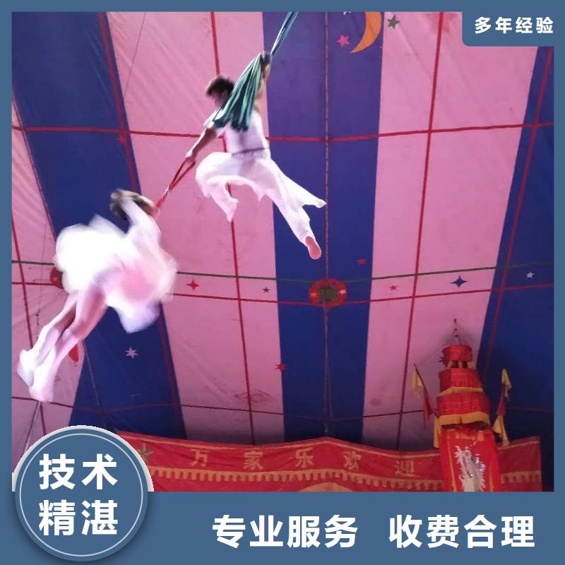 《濮阳》该地马戏团羊驼表演出租推荐厂商