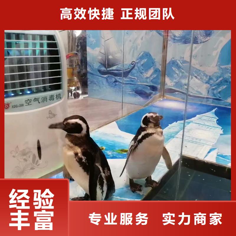 海洋展租赁活跃气氛