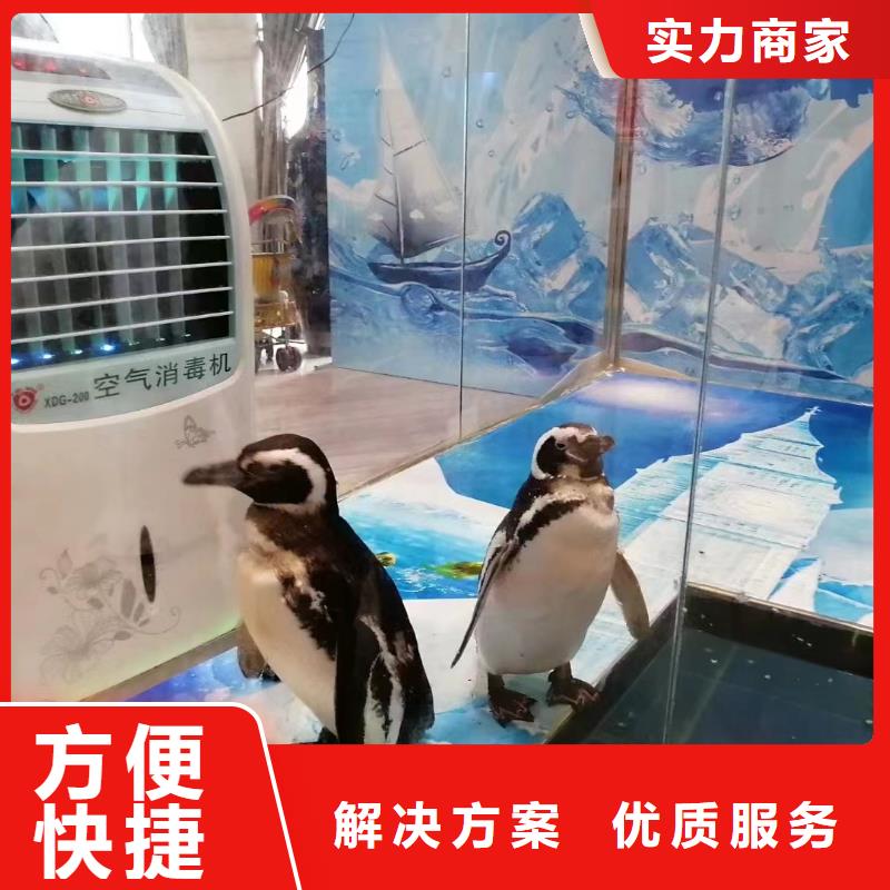 海洋生物鱼缸展出租联系我们