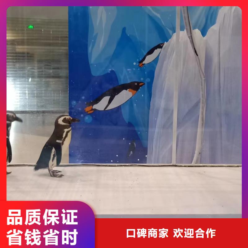 海洋展出租主题展览