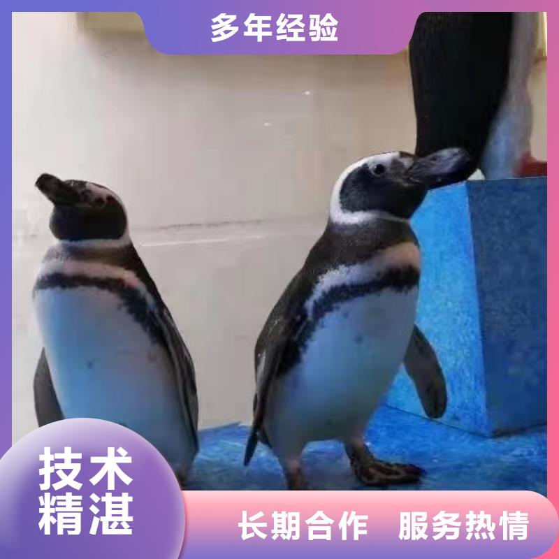 海洋生物展出租