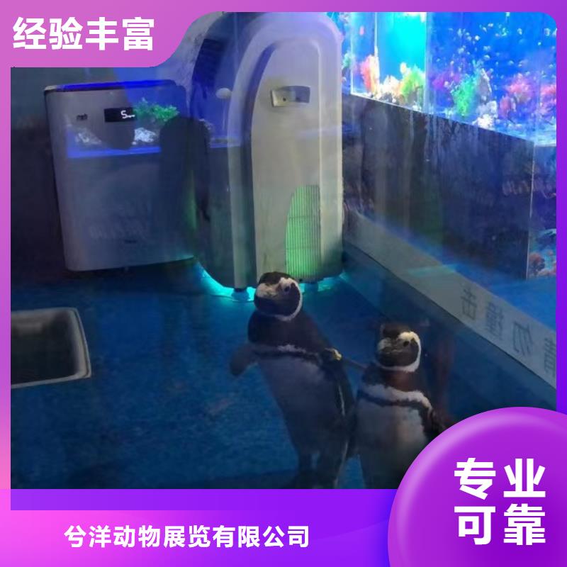 海洋生物展租赁一手资源