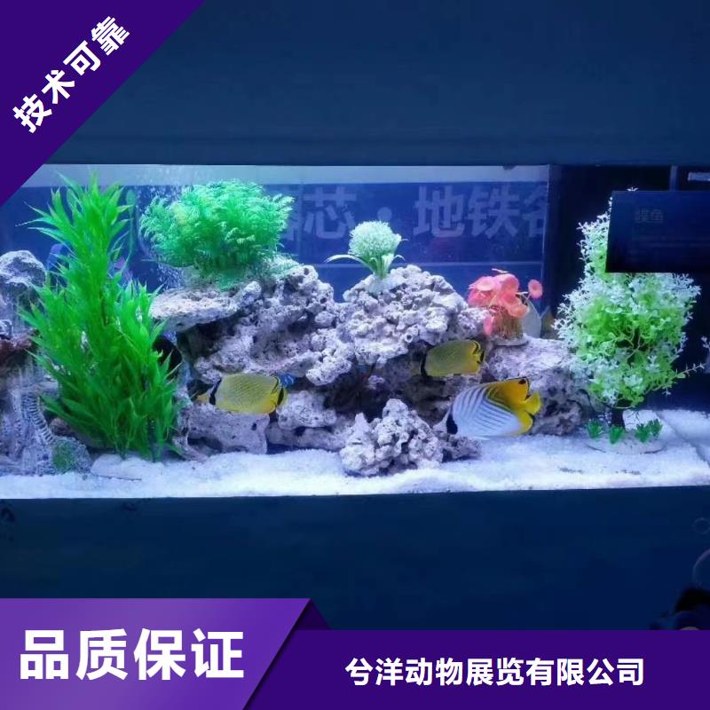 海洋展出租主题展览