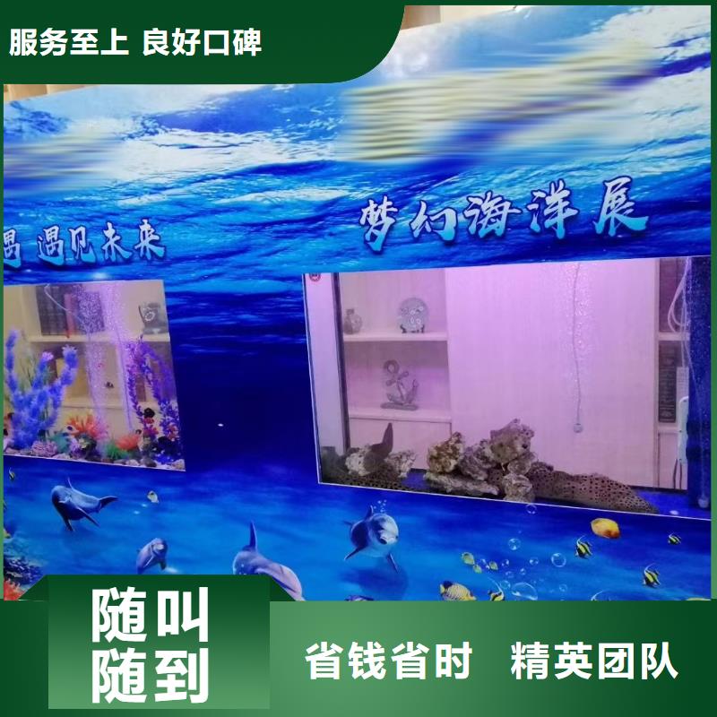 海狮表演出租公司