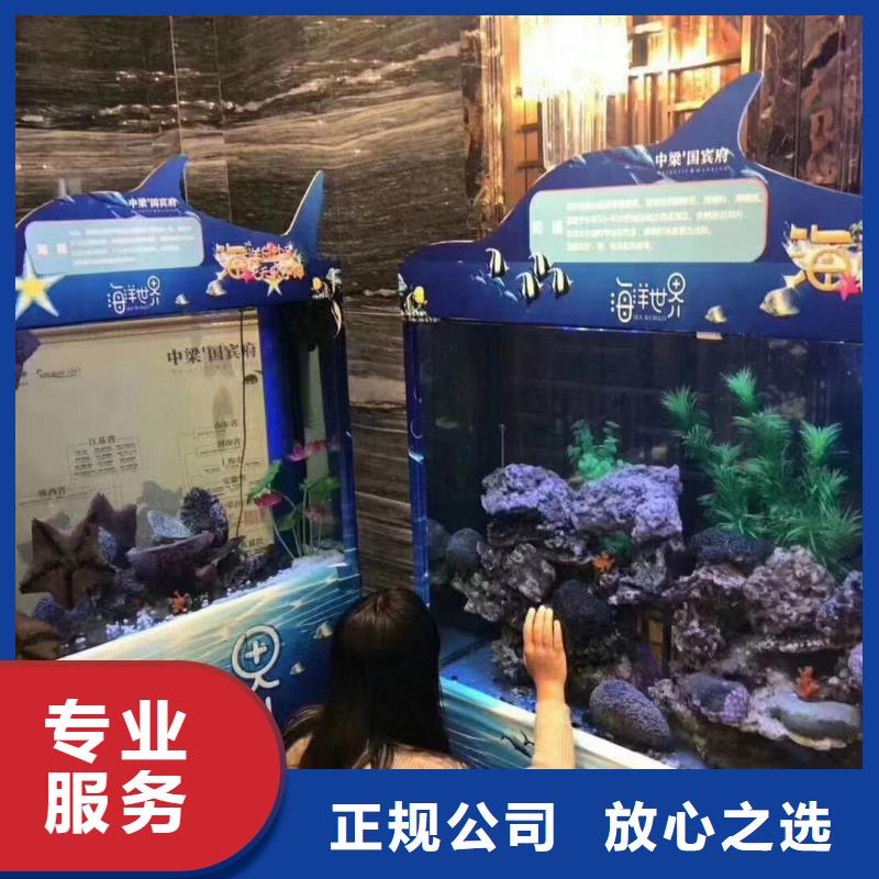 出租海狮哪里有