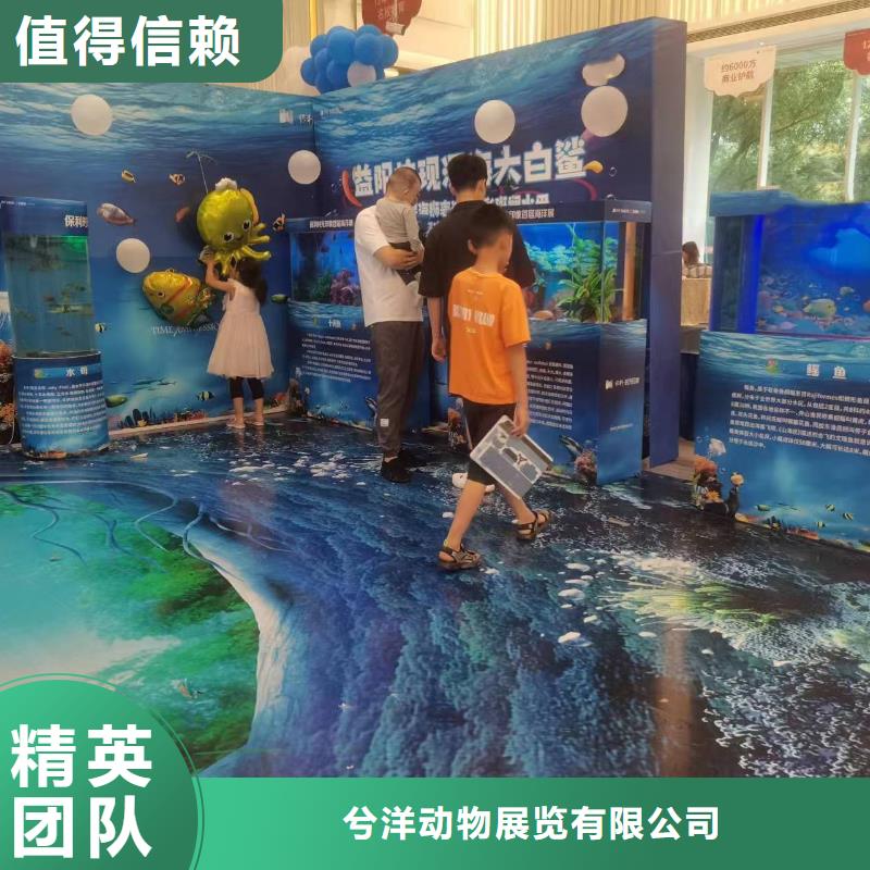 海洋主题动物表演【水族海洋展】技术比较好