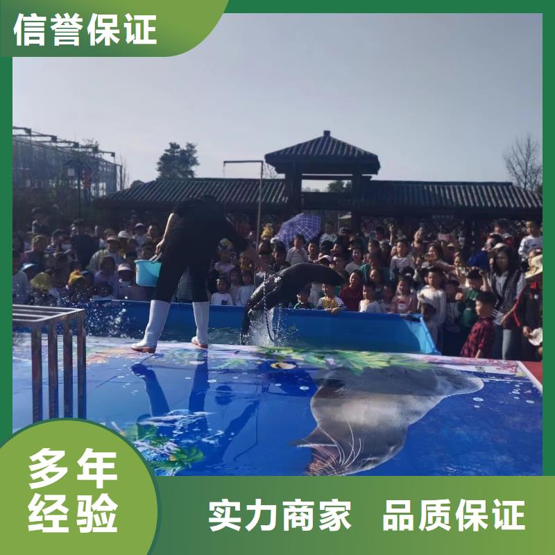 海狮表演出租周边