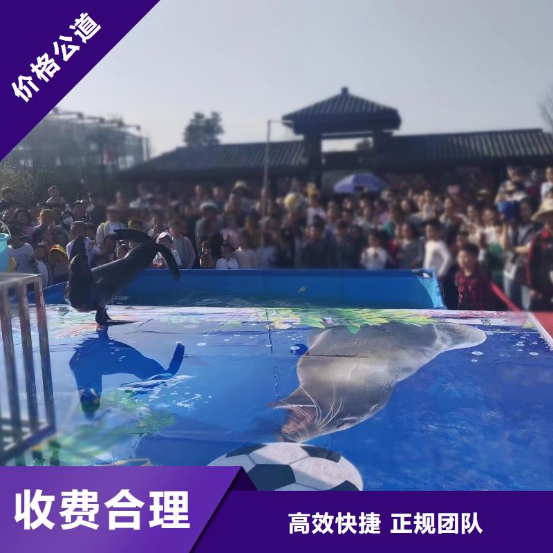 海洋生物鱼缸展出租联系我们