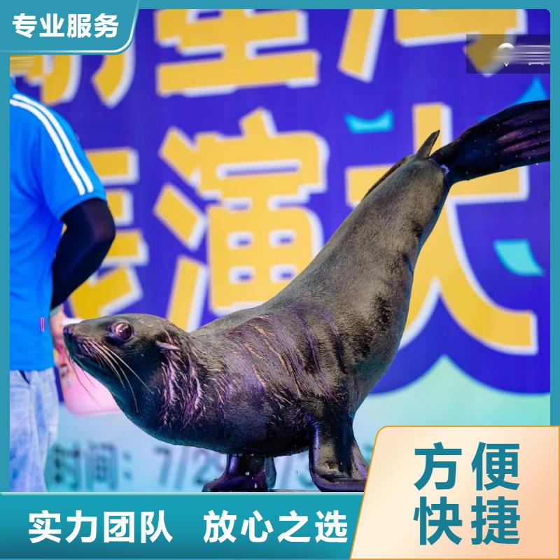 海洋生物展出租