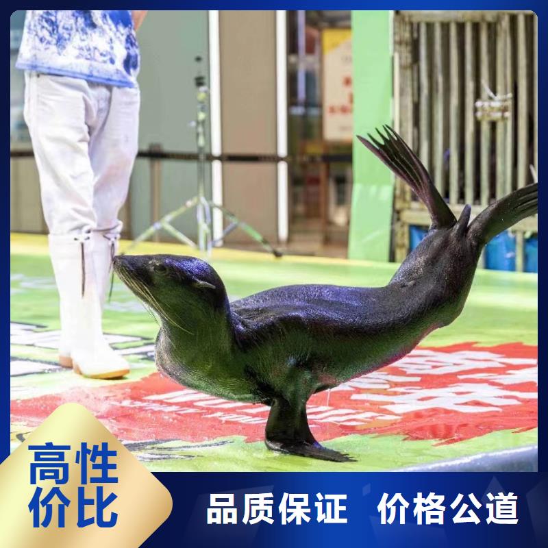 出租海洋生物展品种保证