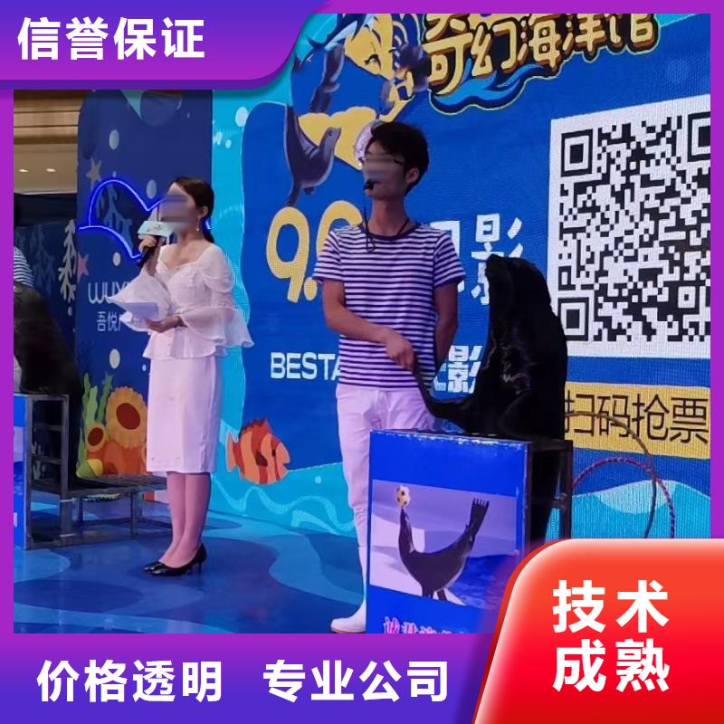 美人鱼表演租赁品种保证