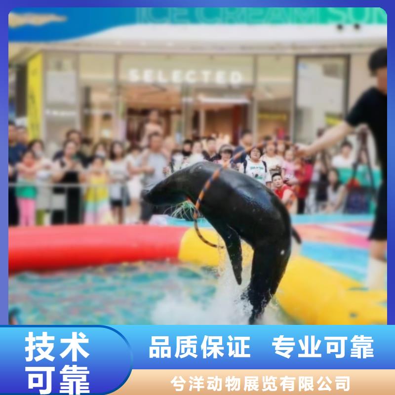 2024公司推荐【兮洋】海洋主题动物表演马戏团表演遵守合同