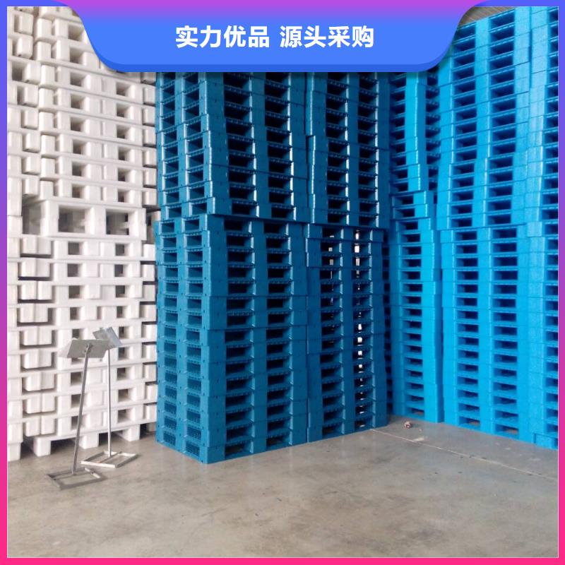 尚志县塑料地拍子常用的