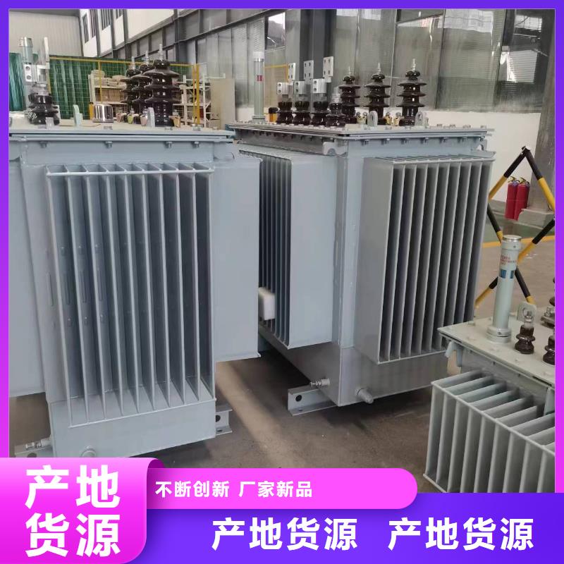 变压器厂家SH17-100KVA10/0.4KV非晶合金油浸式变压器价格