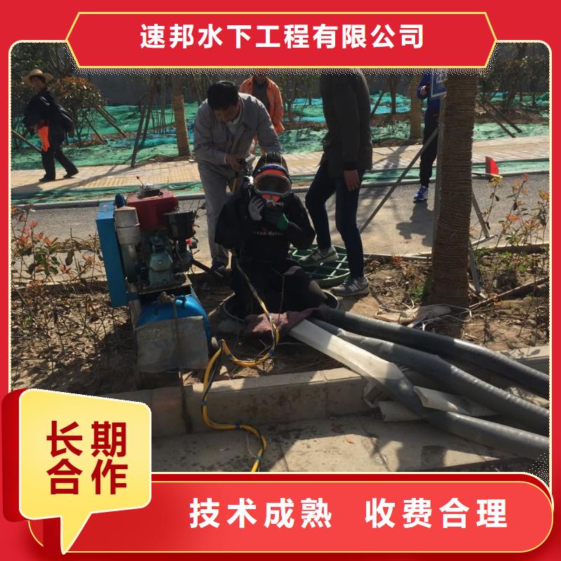 【速邦】武汉市水下安装气囊封堵公司-进度预期