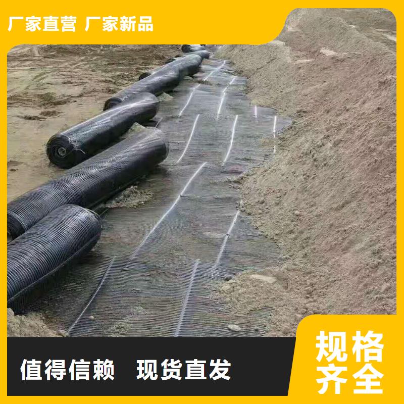 双向钢塑土工格栅价格