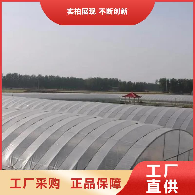 陵川县葡萄沃柑种植大棚按需定制