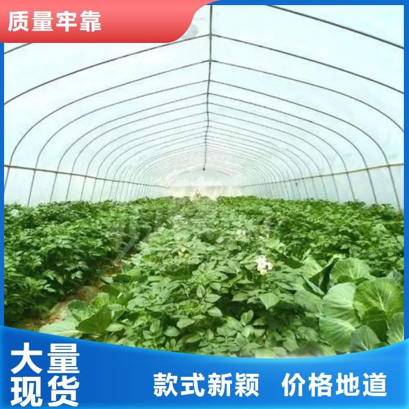 安岳县单体蔬菜大棚施工团队