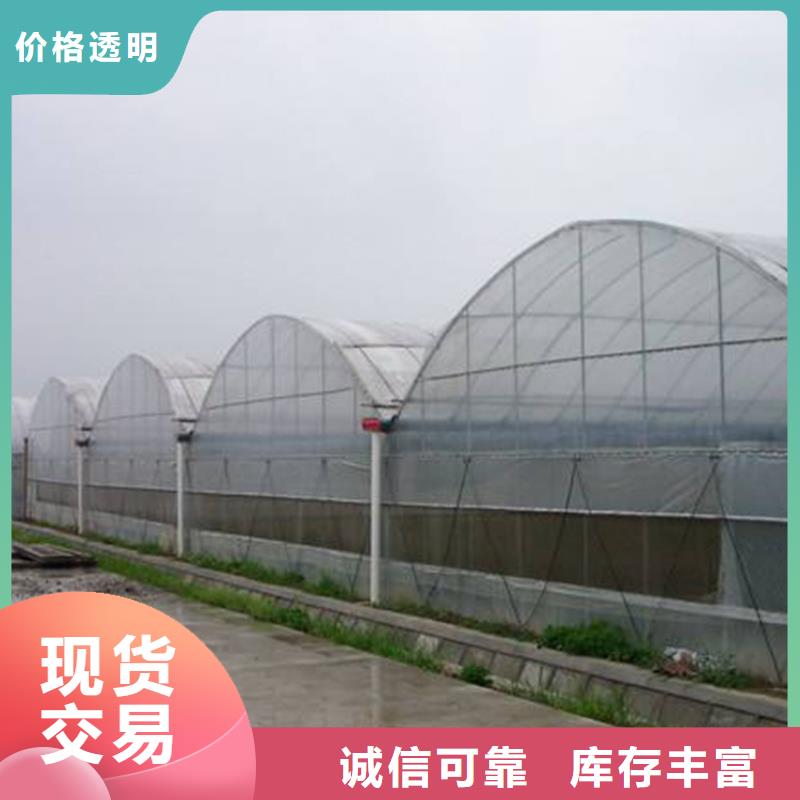 安岳县单体蔬菜大棚施工团队
