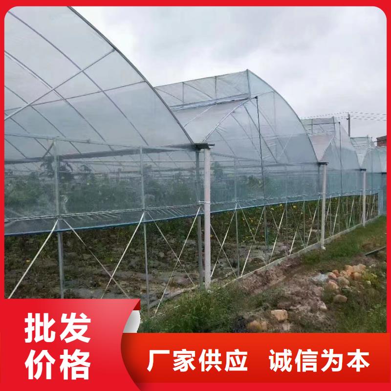 云南省昆明当地盘龙区西瓜草莓大棚钢管欢迎咨询