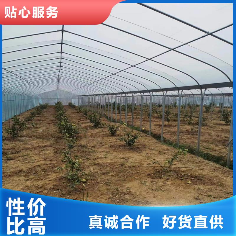 安徽省安庆买市潜山县进口利得绿白膜实力厂家