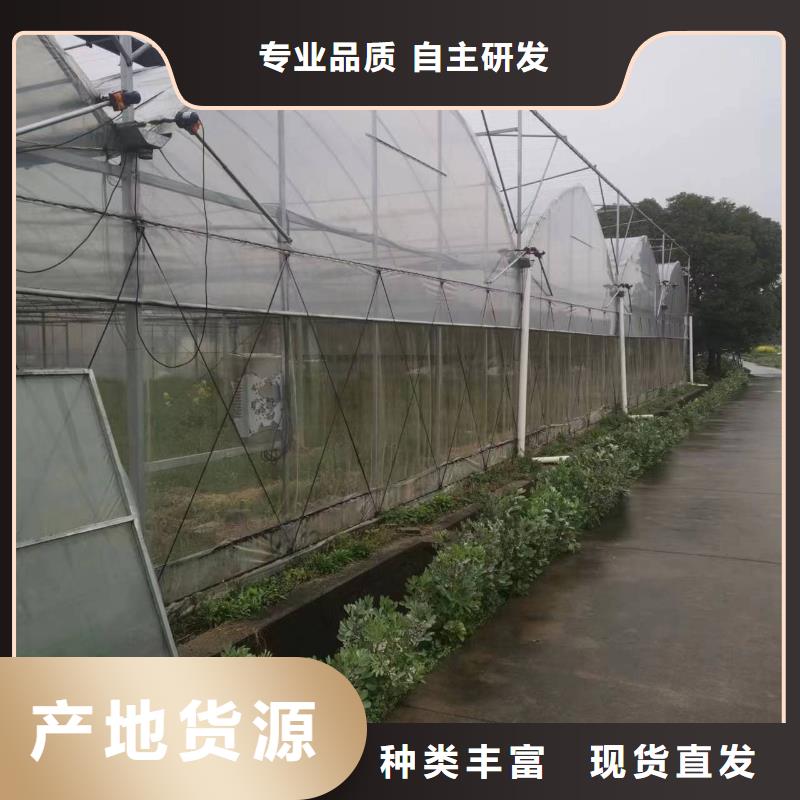广东省深圳市南湖街道玻璃温室大棚造价厂家价格