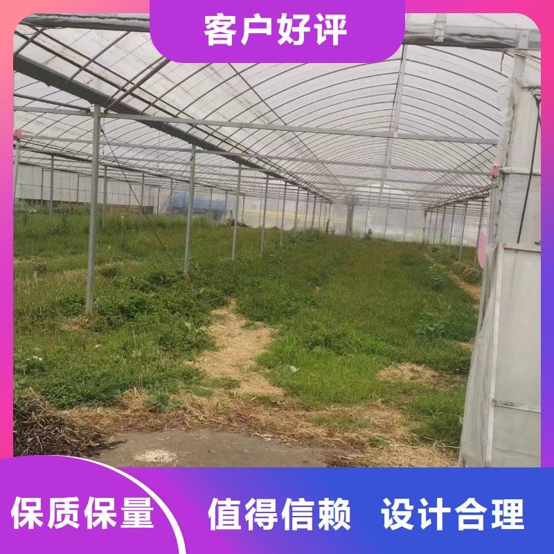 诏安县葡萄大棚专用膜工厂直销2024乡村振兴计划