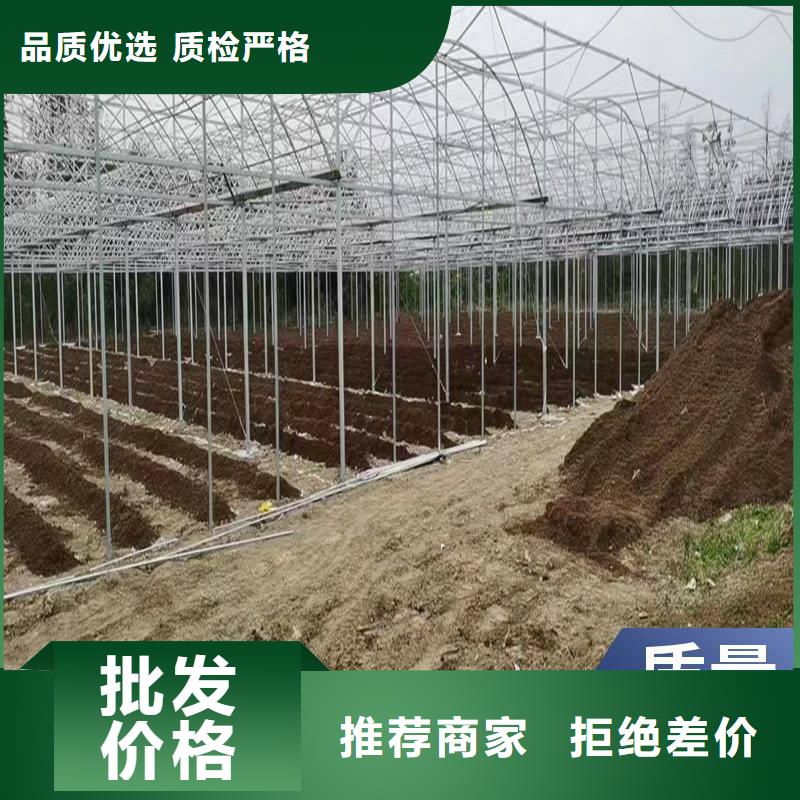 陵川县葡萄沃柑种植大棚按需定制